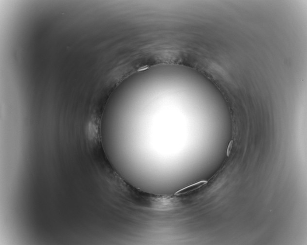 X0000089400432200706221121