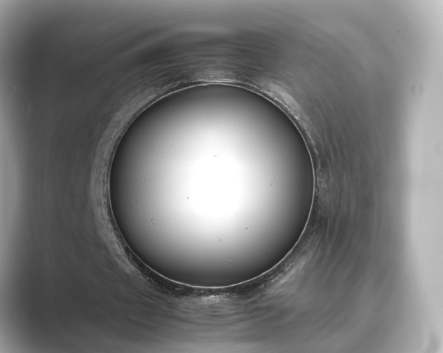 X0000089400433200706221120