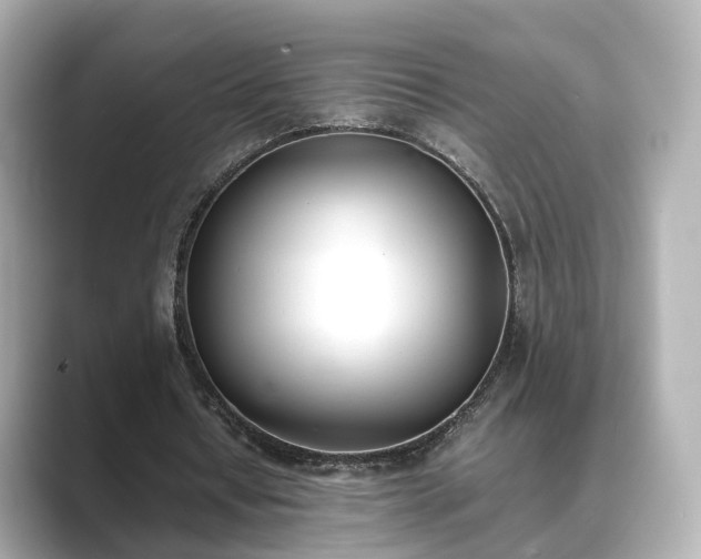 X0000089400434200706221120