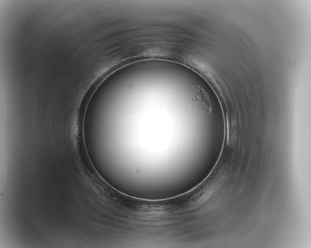 X0000089400435200706221120