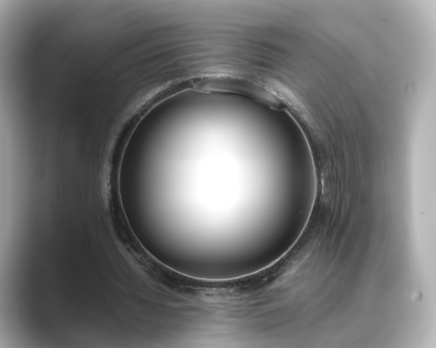 X0000089400436200706221120