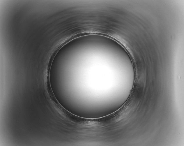 X0000089400437200706221120