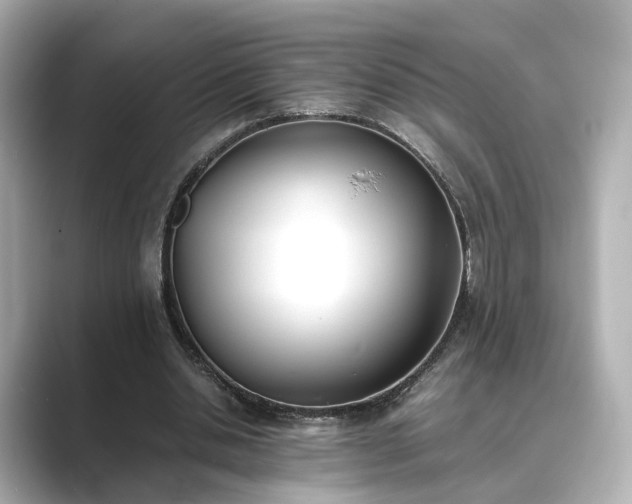 X0000089400438200706221120