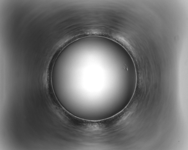 X0000089400439200706221120