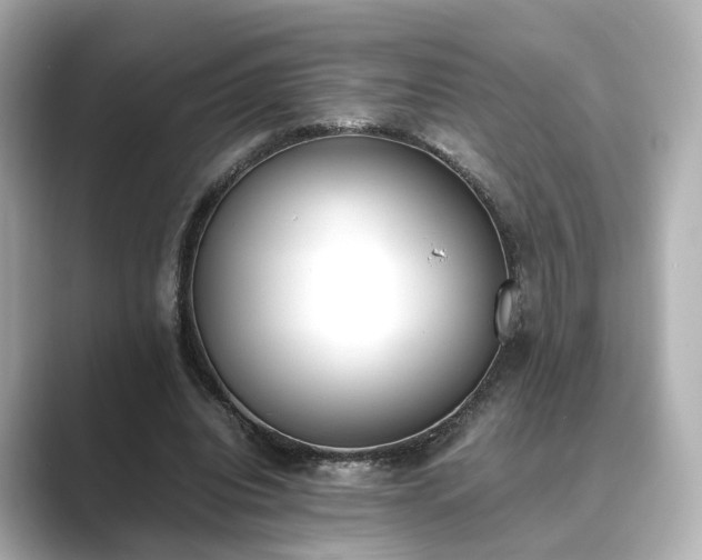 X0000089400440200706221120