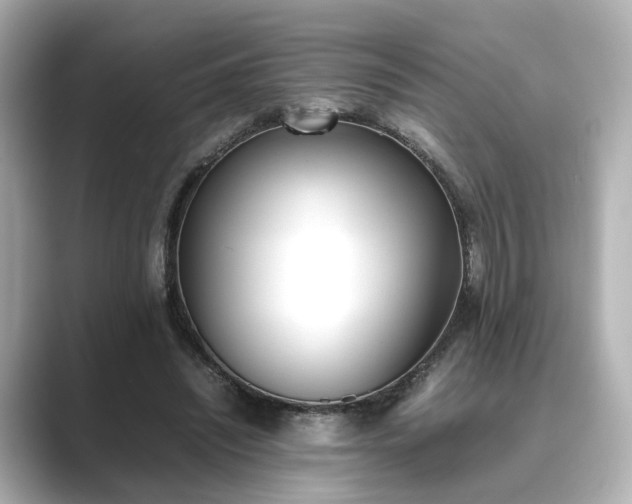 X0000089400444200706221120