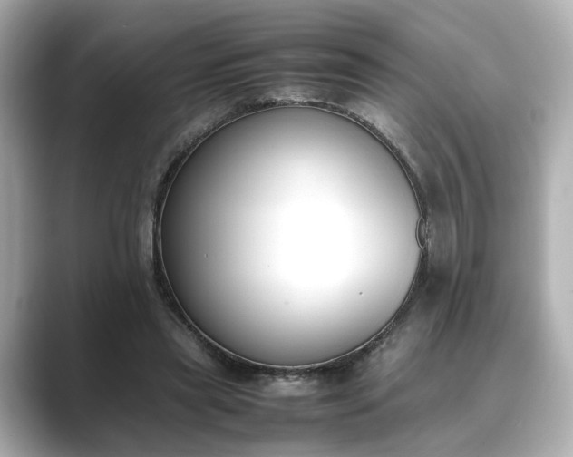 X0000089400445200706221120