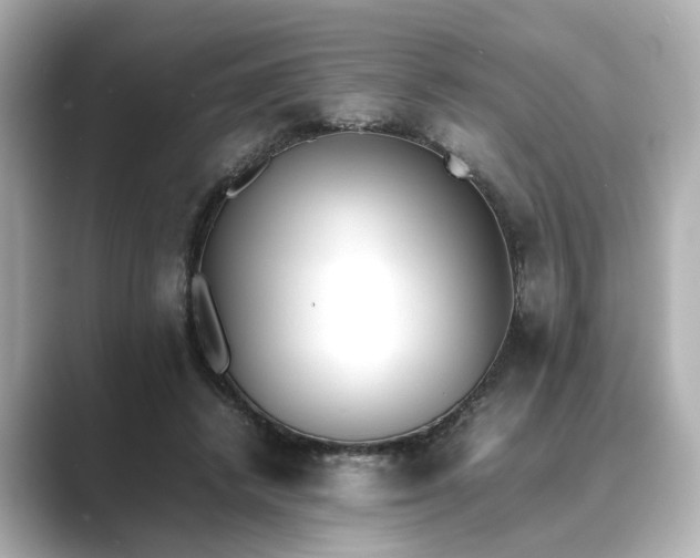 X0000089400448200706221120