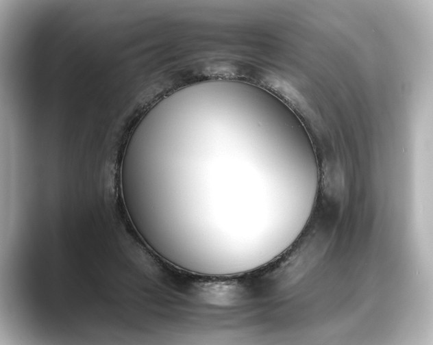 X0000089400449200706221120