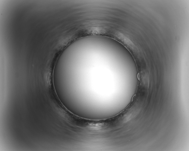 X0000089400450200706221120