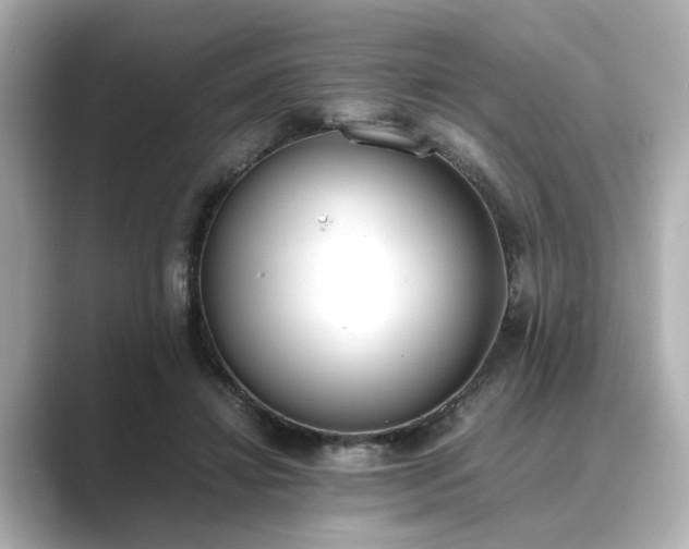 X0000089400452200706221120