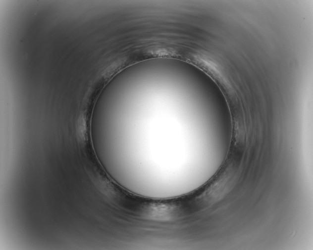 X0000089400453200706221120