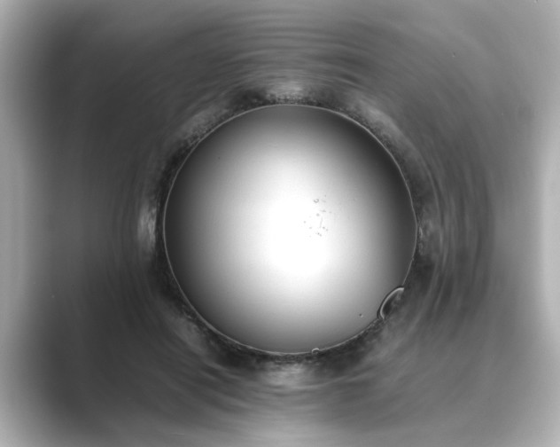 X0000089400454200706221120