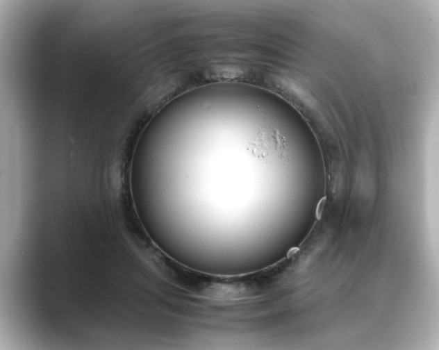 X0000089400455200706221120