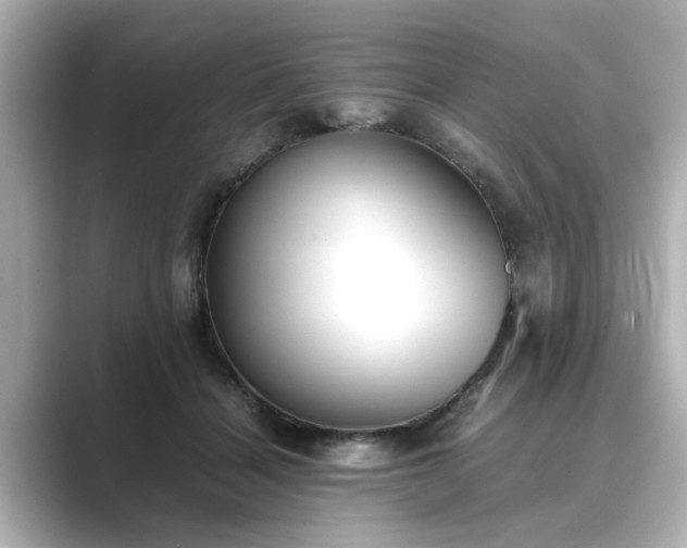 X0000089400460200706221120