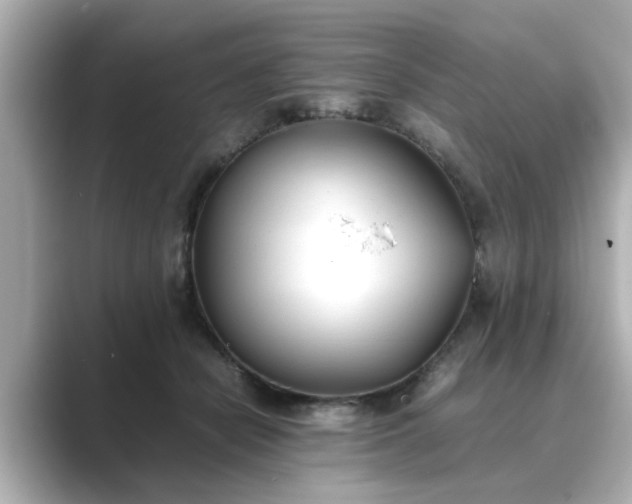 X0000089400462200706221120