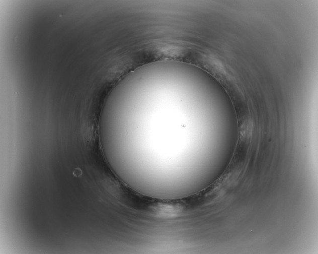 X0000089400464200706221120