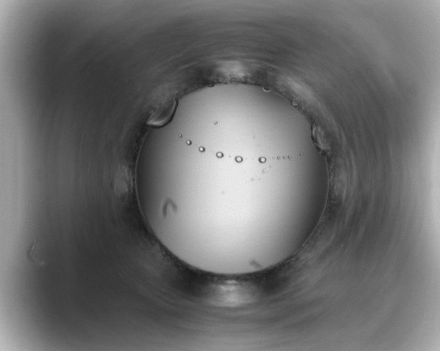 X0000089400467200706221120