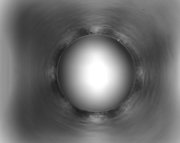 X0000089400470200706221120