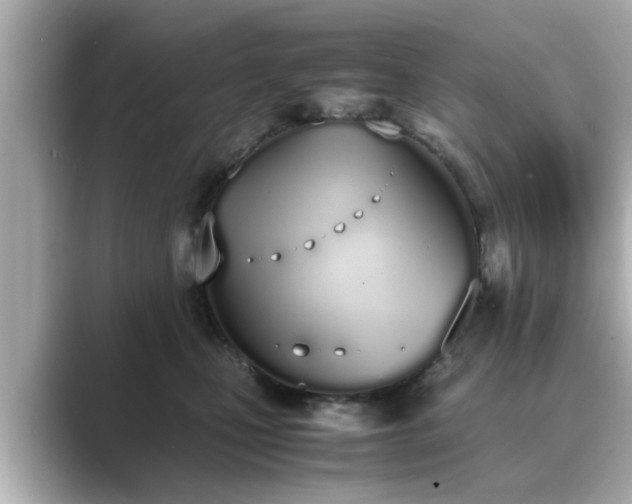 X0000089400471200706221120