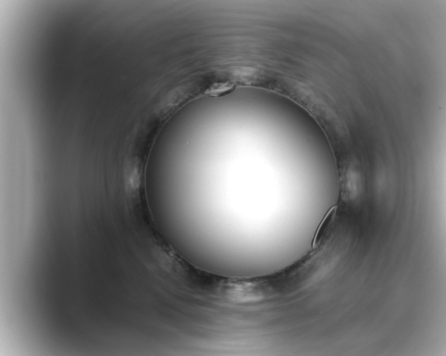 X0000089400472200706221120