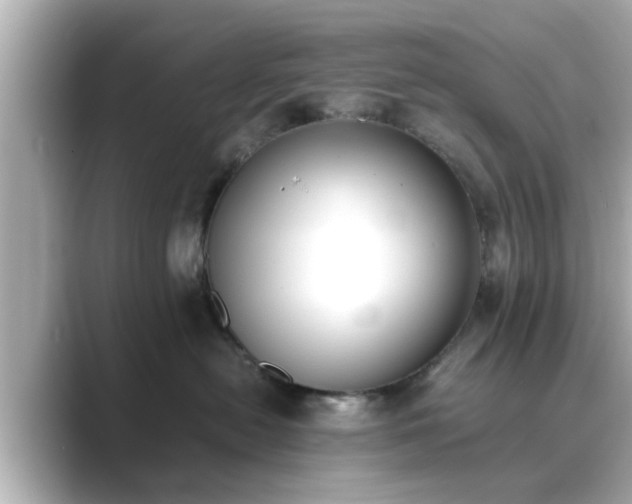 X0000089400478200706221121