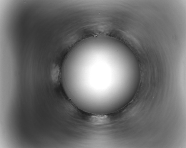 X0000089400480200706221121