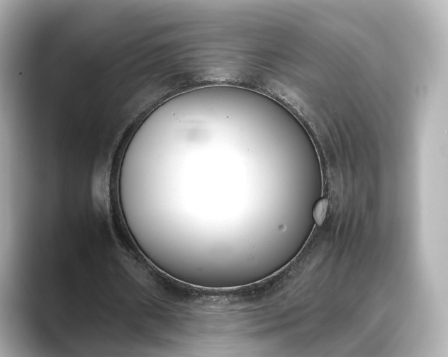 X0000089400482200706221120