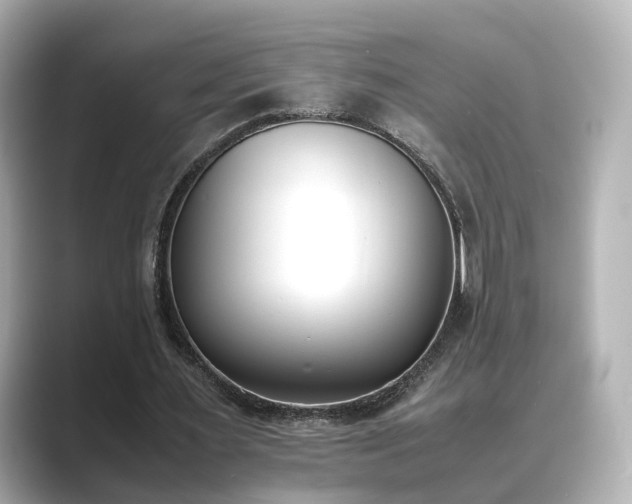 X0000089400483200706221120