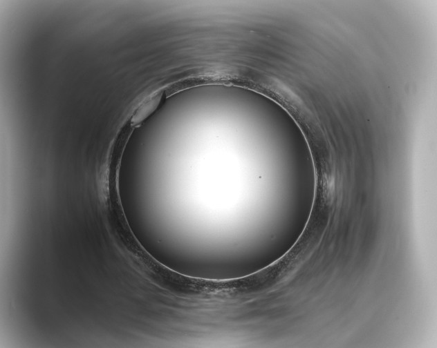 X0000089400484200706221120