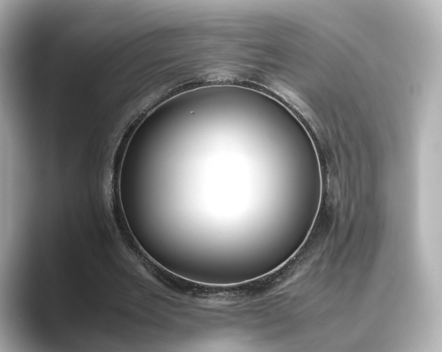 X0000089400485200706221120