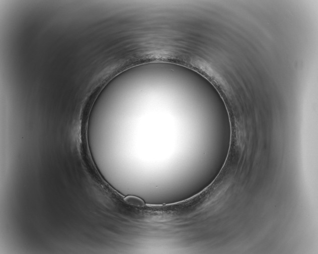 X0000089400486200706221120