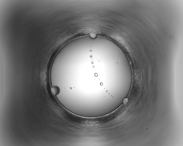 X0000089400487200706221120