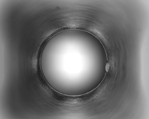 X0000089400488200706221120