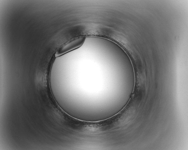 X0000089400489200706221120