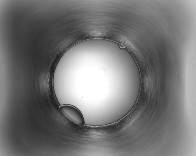 X0000089400490200706221120