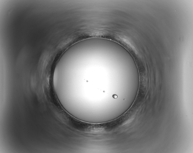 X0000089400491200706221120