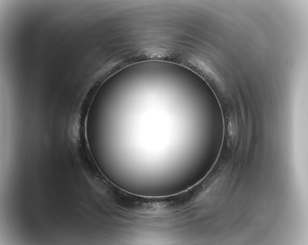 X0000089400492200706221120