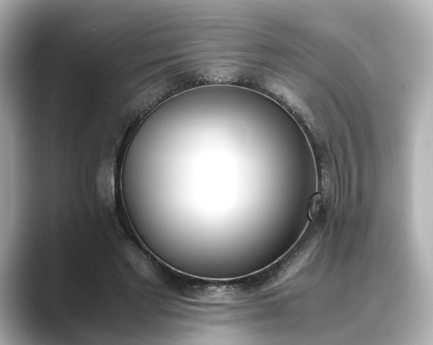 X0000089400493200706221120