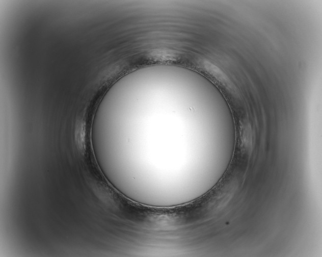 X0000089400494200706221120