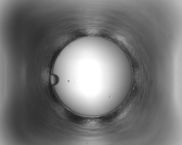 X0000089400495200706221120