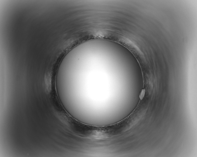 X0000089400496200706221120