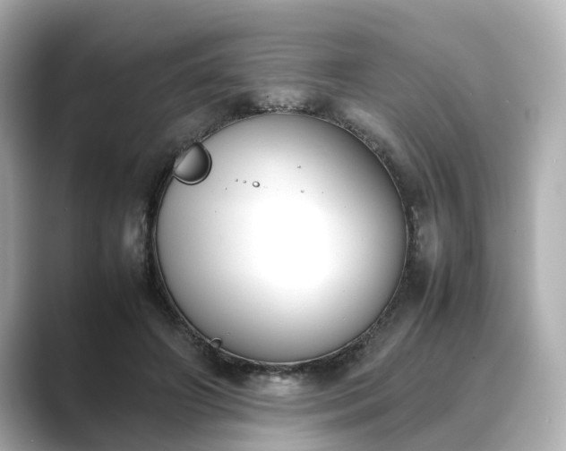 X0000089400498200706221120