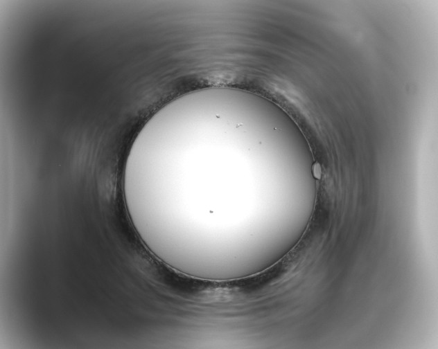 X0000089400499200706221120