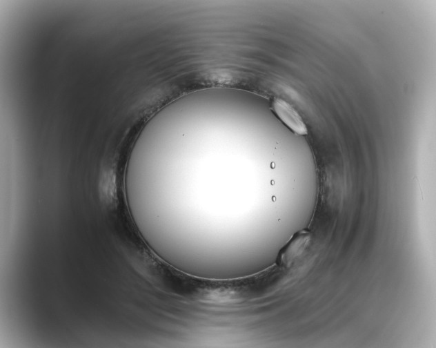 X0000089400500200706221120