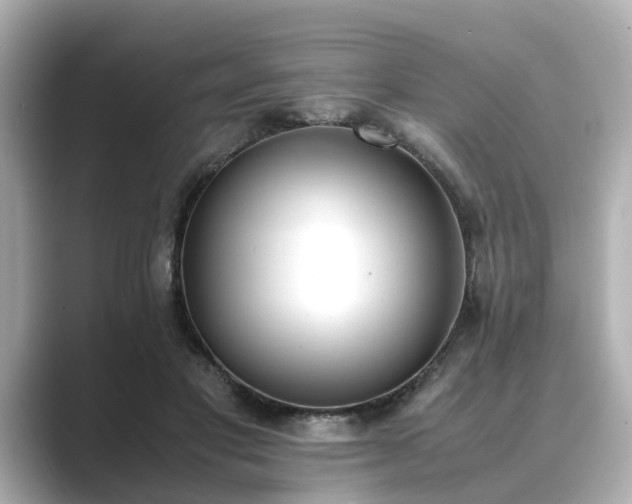 X0000089400501200706221120