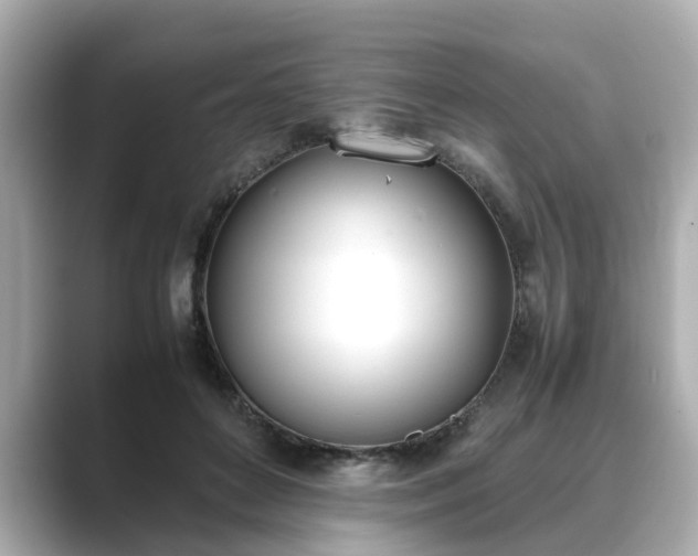 X0000089400504200706221120