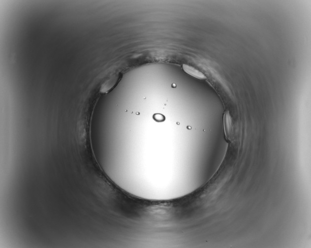 X0000089400505200706221120