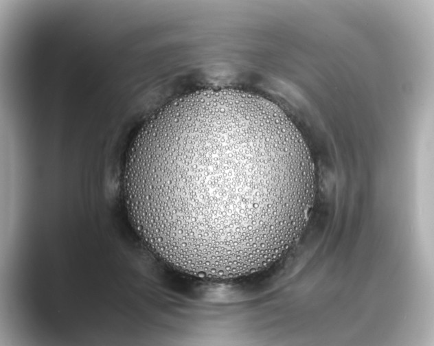 X0000089400507200706221120