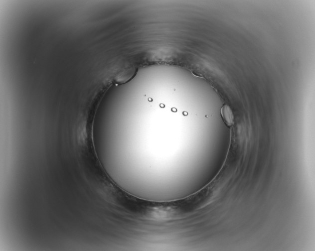 X0000089400508200706221120